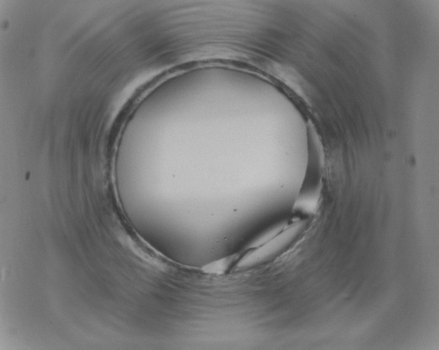 X0000076271116200610122248