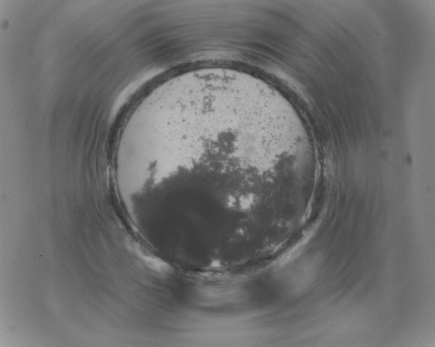 X0000076271117200610122248