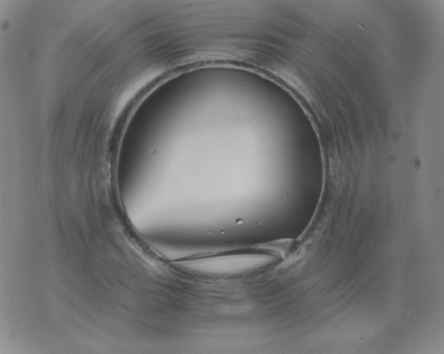 X0000076271119200610122248