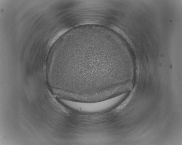 X0000076271121200610122248