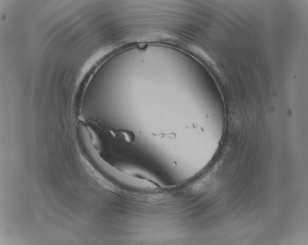 X0000076271122200610122248