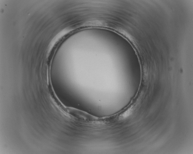 X0000076271123200610122248