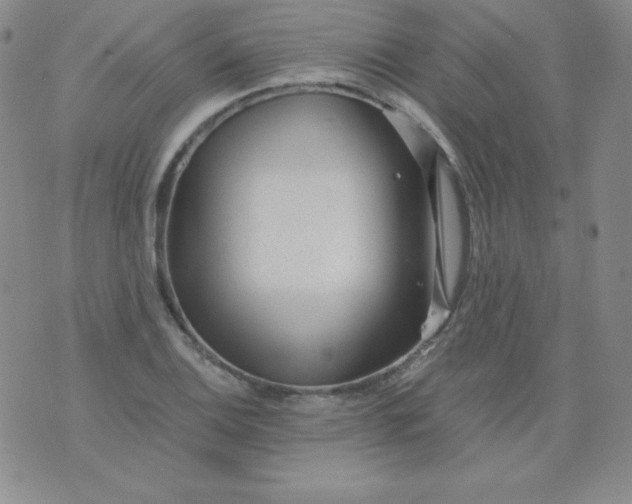 X0000076271124200610122248