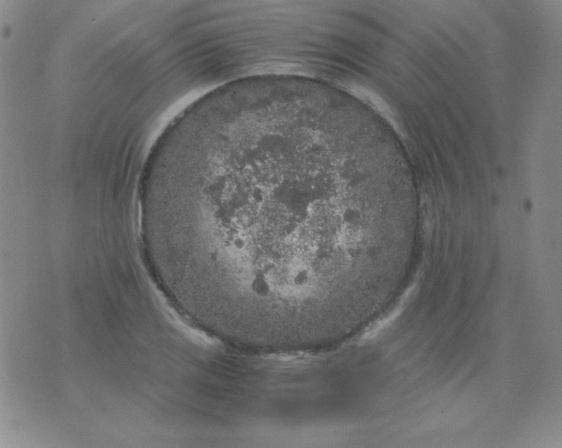 X0000076271125200610122248