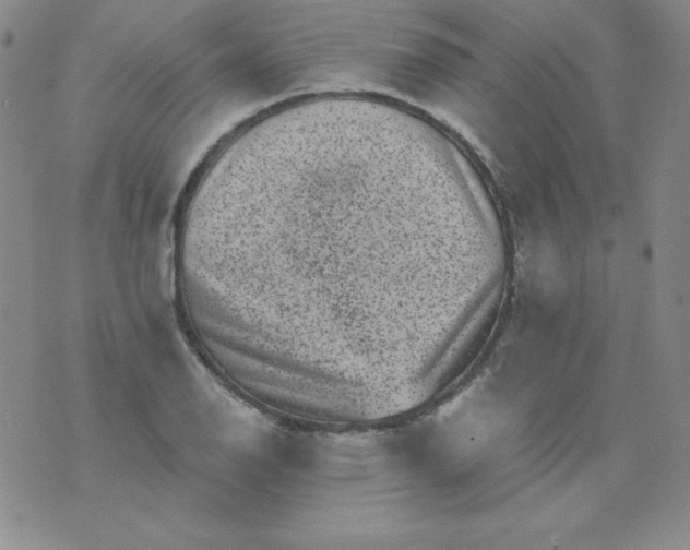 X0000076271126200610122248