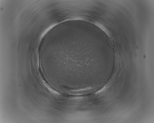 X0000076271127200610122248