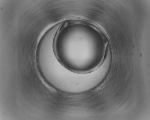 X0000076271128200610122248