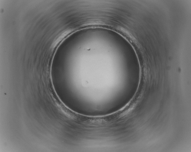 X0000076271129200610122248