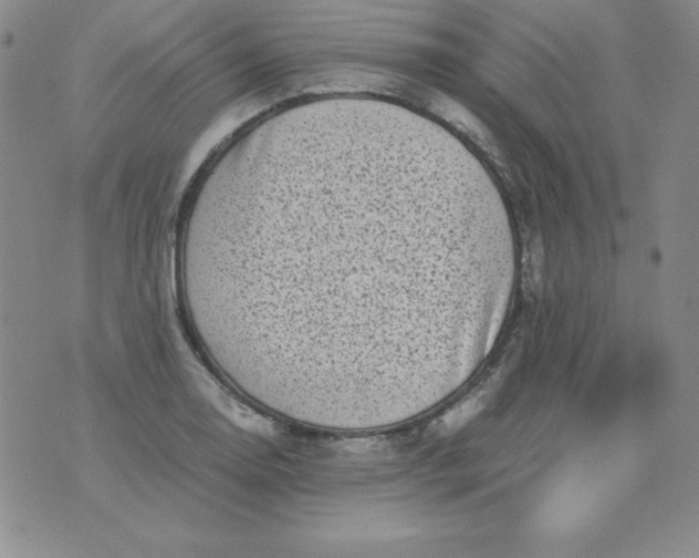 X0000076271130200610122248