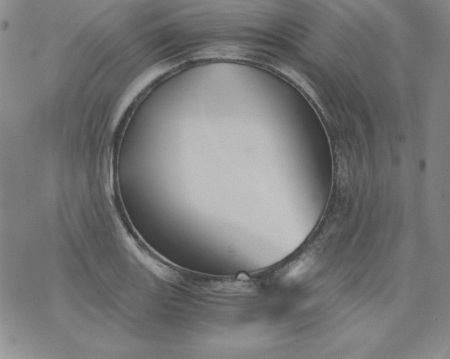 X0000076271131200610122248