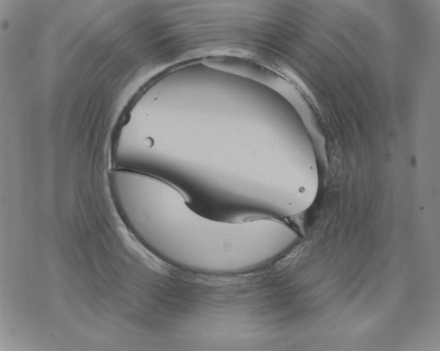 X0000076271132200610122248