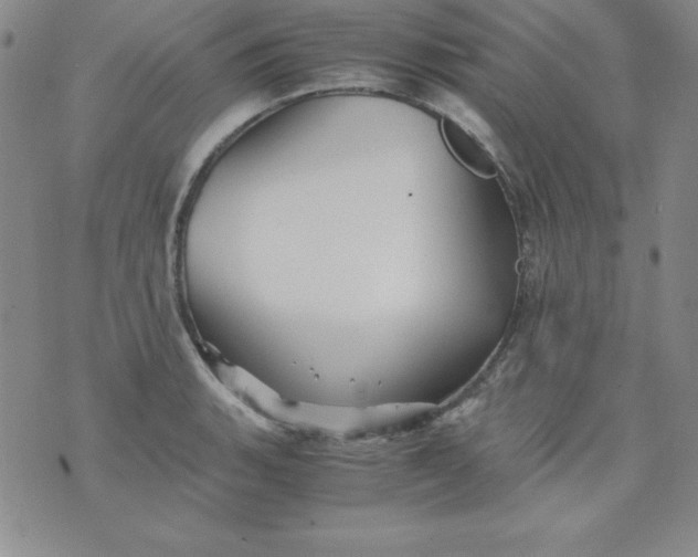 X0000076271135200610122248