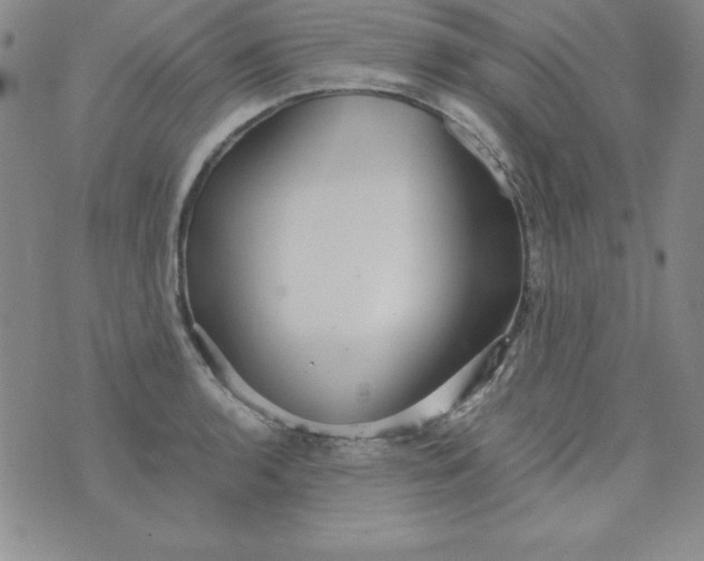 X0000076271136200610122248