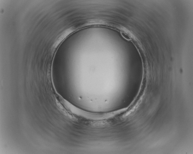 X0000076271137200610122248