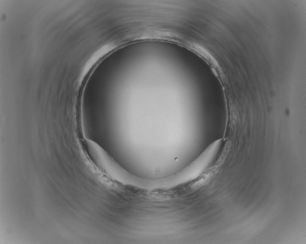 X0000076271138200610122248