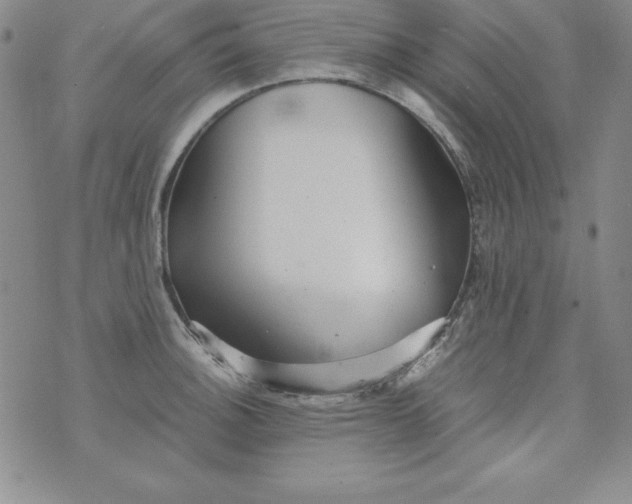 X0000076271140200610122249