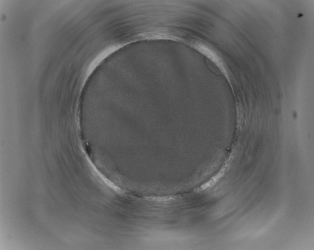 X0000076271141200610122249