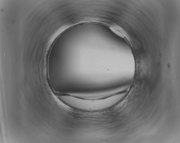 X0000076271143200610122249