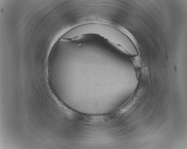 X0000076271144200610122249