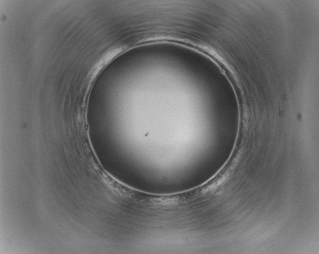 X0000076271145200610122249