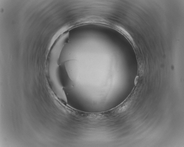 X0000076271146200610122249