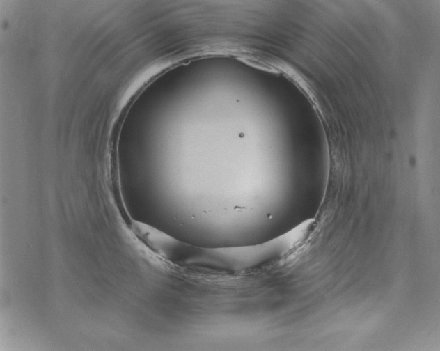 X0000076271147200610122249