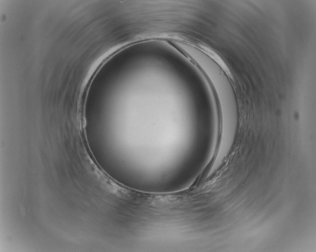 X0000076271148200610122249