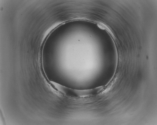 X0000076271149200610122249