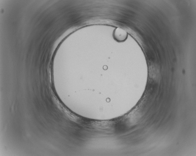 X0000076271150200610122249