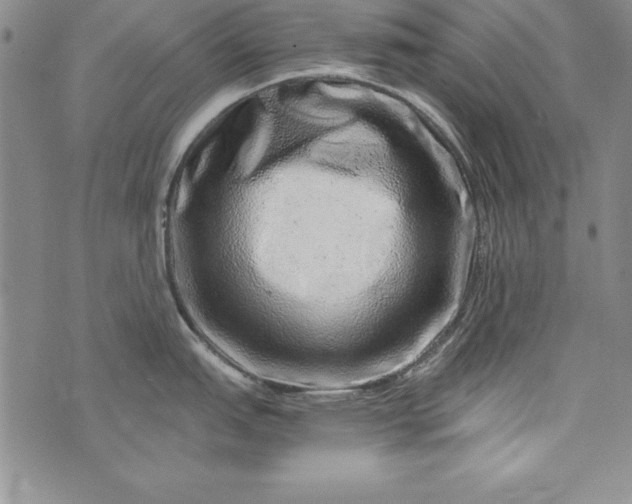 X0000076271151200610122249