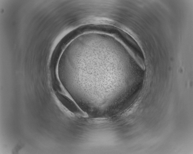 X0000076271152200610122249