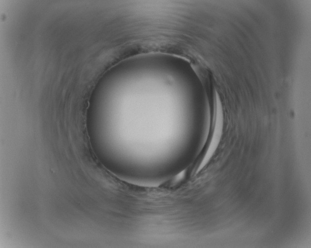 X0000076271153200610122248