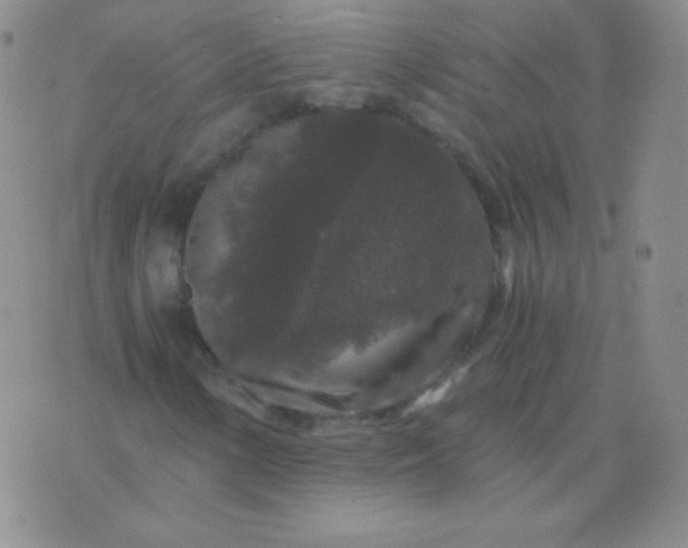 X0000076271154200610122248