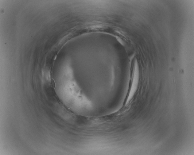 X0000076271155200610122248