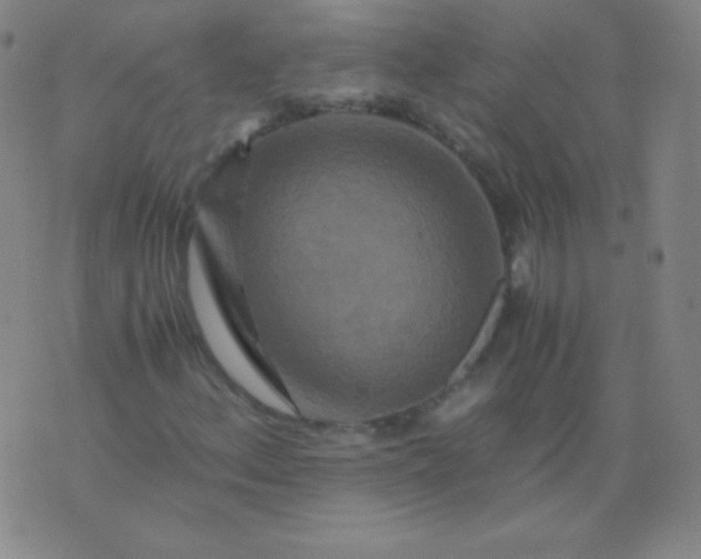 X0000076271156200610122248