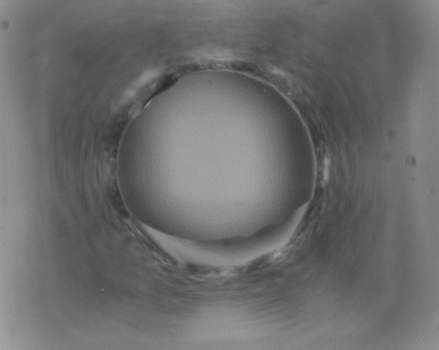 X0000076271157200610122248