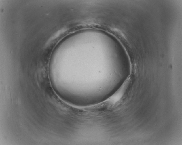 X0000076271159200610122248