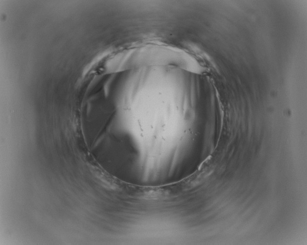 X0000076271160200610122248