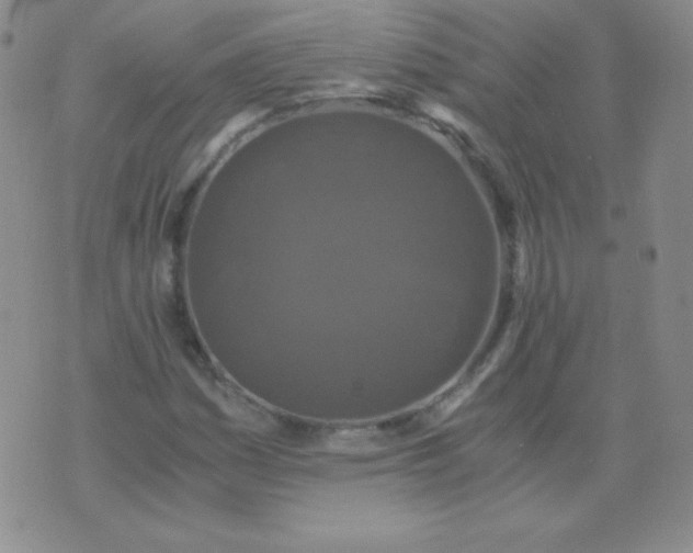 X0000076271161200610122248