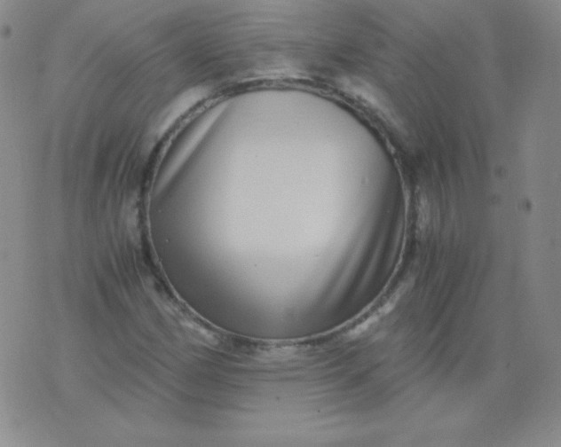 X0000076271162200610122248