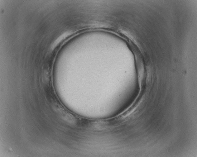 X0000076271163200610122248