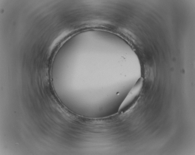 X0000076271164200610122248