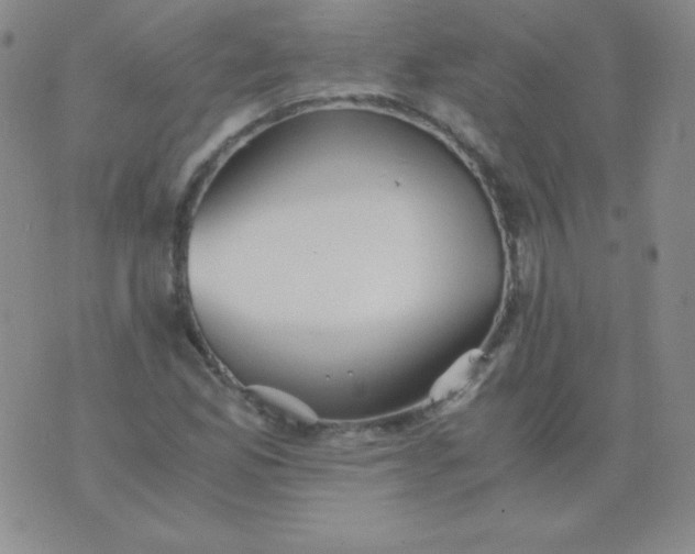 X0000076271165200610122248