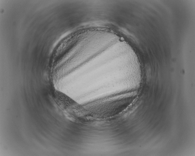 X0000076271166200610122248