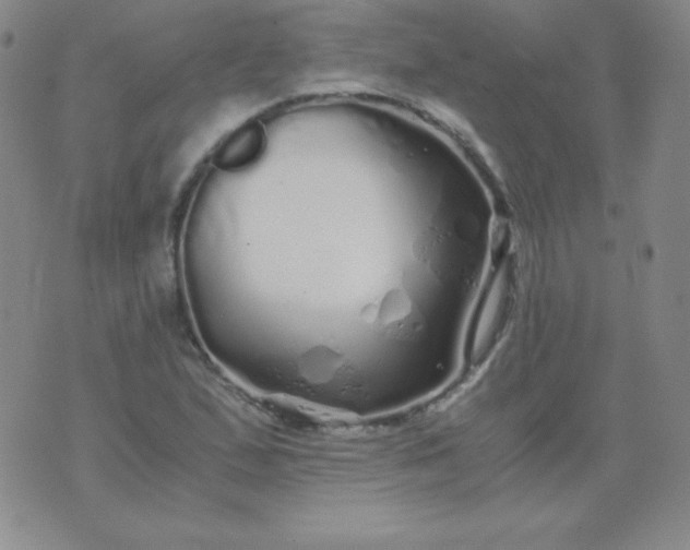 X0000076271167200610122248