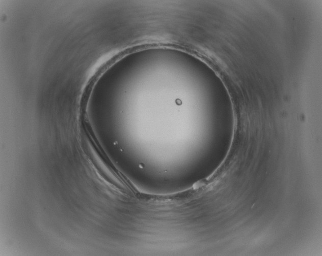 X0000076271168200610122248