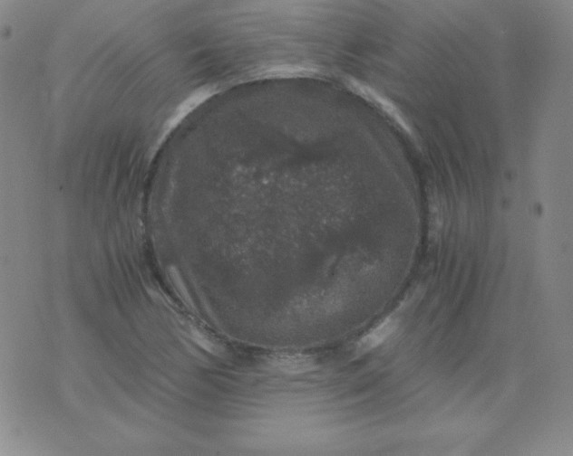 X0000076271170200610122248