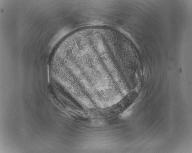 X0000076271171200610122248