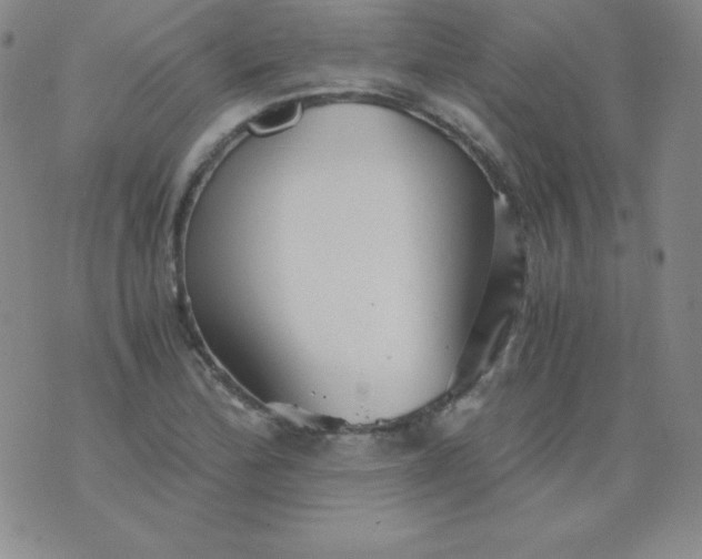 X0000076271172200610122248