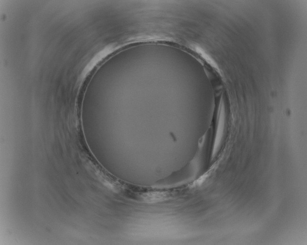 X0000076271173200610122248